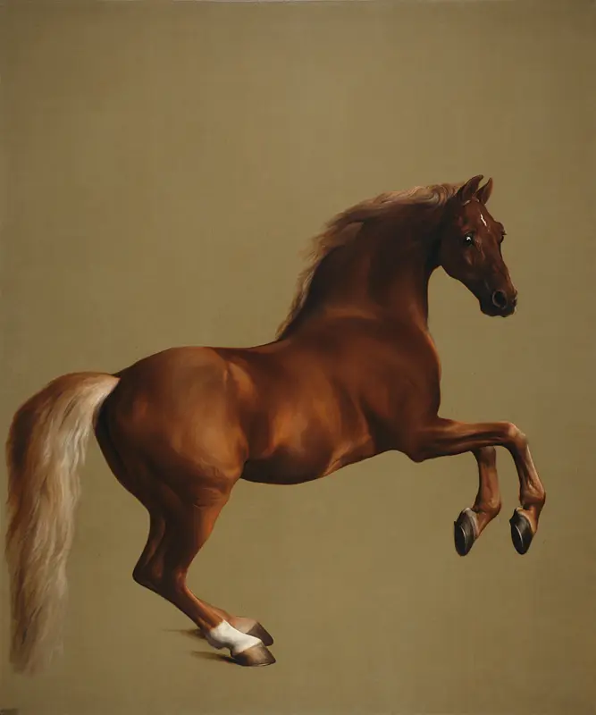 Whistlejacket-de-George-Stubbs-The-Natilonal-Gallery-London-Artemisia-Online-