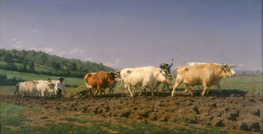 Labourage-Nivernais-Rosa-Bonheur-Artemisia-Online-Amelie-Sabatier
