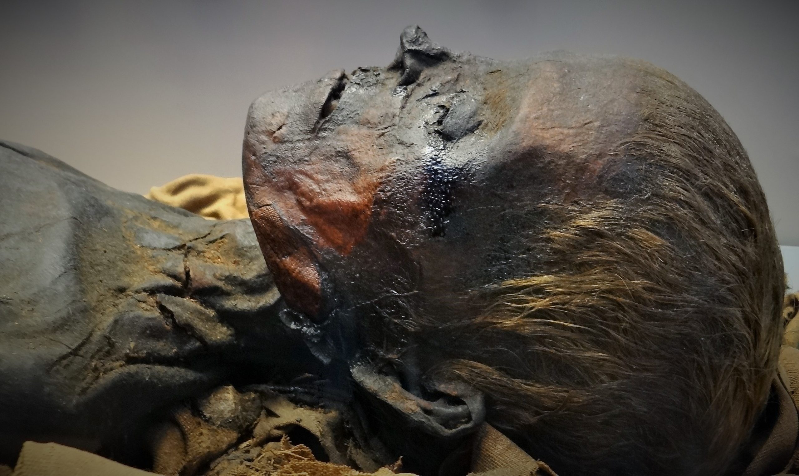 Momie-egyptenne-British-Museum-scaled